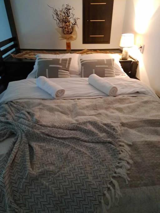 Sofia'S Home Comfy Studio In The Old Town Brașov Exterior foto