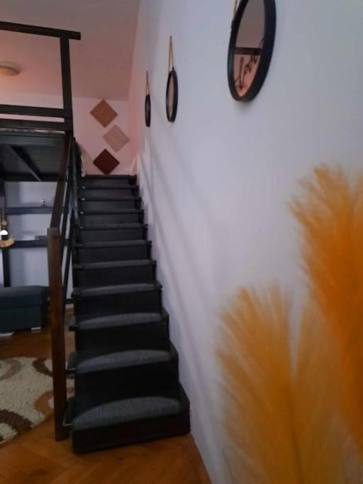 Sofia'S Home Comfy Studio In The Old Town Brașov Exterior foto